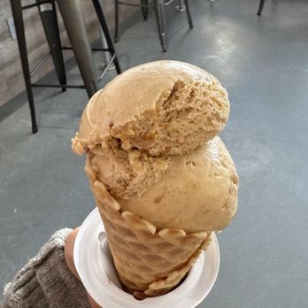 Gator Ice Cream - Cookie butter ice cream - Desserts Near Me - Jacksonville Beach, Florida Gator Ice Cream - Cookie butter ice cream - Desserts Near Me - Jacksonville Beach, Florida