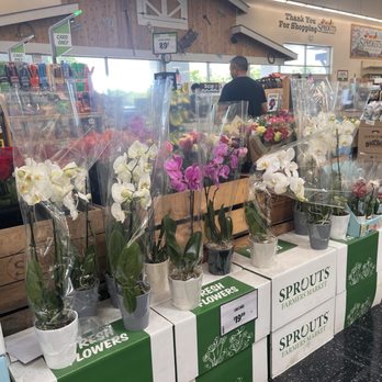 Sprouts Farmers Market - orchid selection - Grocery Near Me - Seal Beach, California