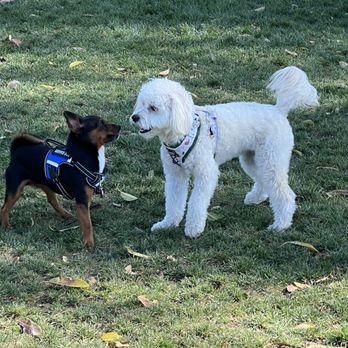 Fletcher “Fetch” Dog Park - New bff - Dog Parks Near Me - El Monte, California