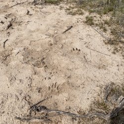 Badlands Adventure Haven
