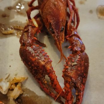 Cajun Crawfish Stop - Large crawfish! You could even get the meat off the claws. - Cajun/Creole Near Me - Covina, California