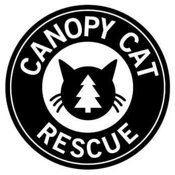 Canopy Cat Rescue - Pet Services Near Me Canopy Cat Rescue - Pet Services Near Me