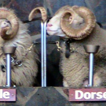 Agrodome - Tours Near Me - Ngongotaha, BOP