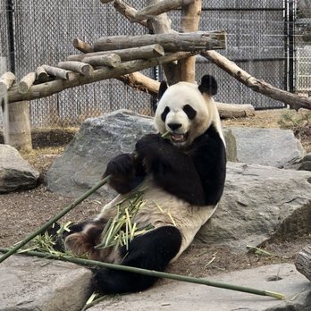 Toronto Zoo - Zoos Near Me - Toronto, Ontario Toronto Zoo - Zoos Near Me - Toronto, Ontario