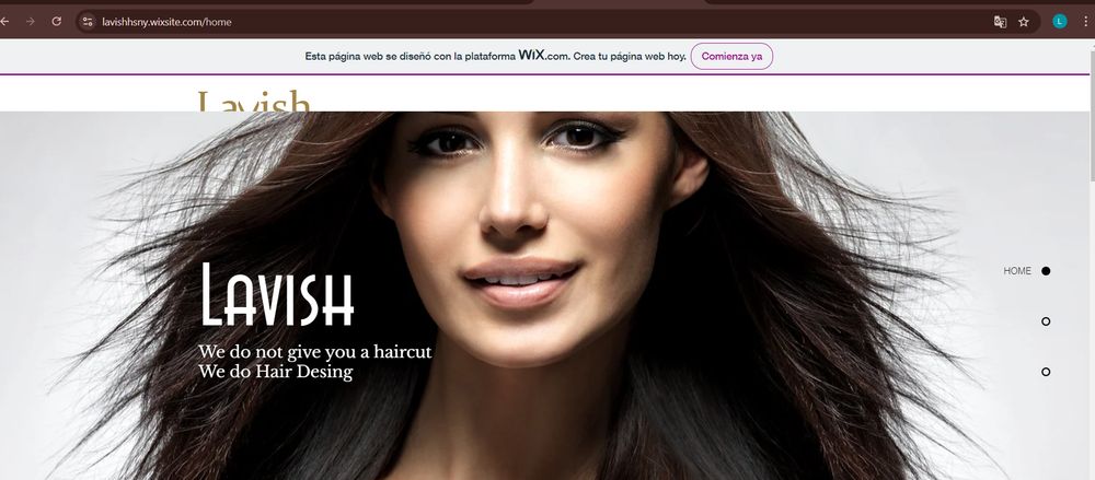 Lavish Hair Style Logo