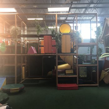 Once Upon a Treetop - Party & Event Planning Near Me - Plainview, New York Once Upon a Treetop - Party & Event Planning Near Me - Plainview, New York