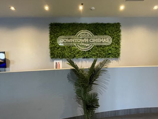 Downtown Cinemas by null