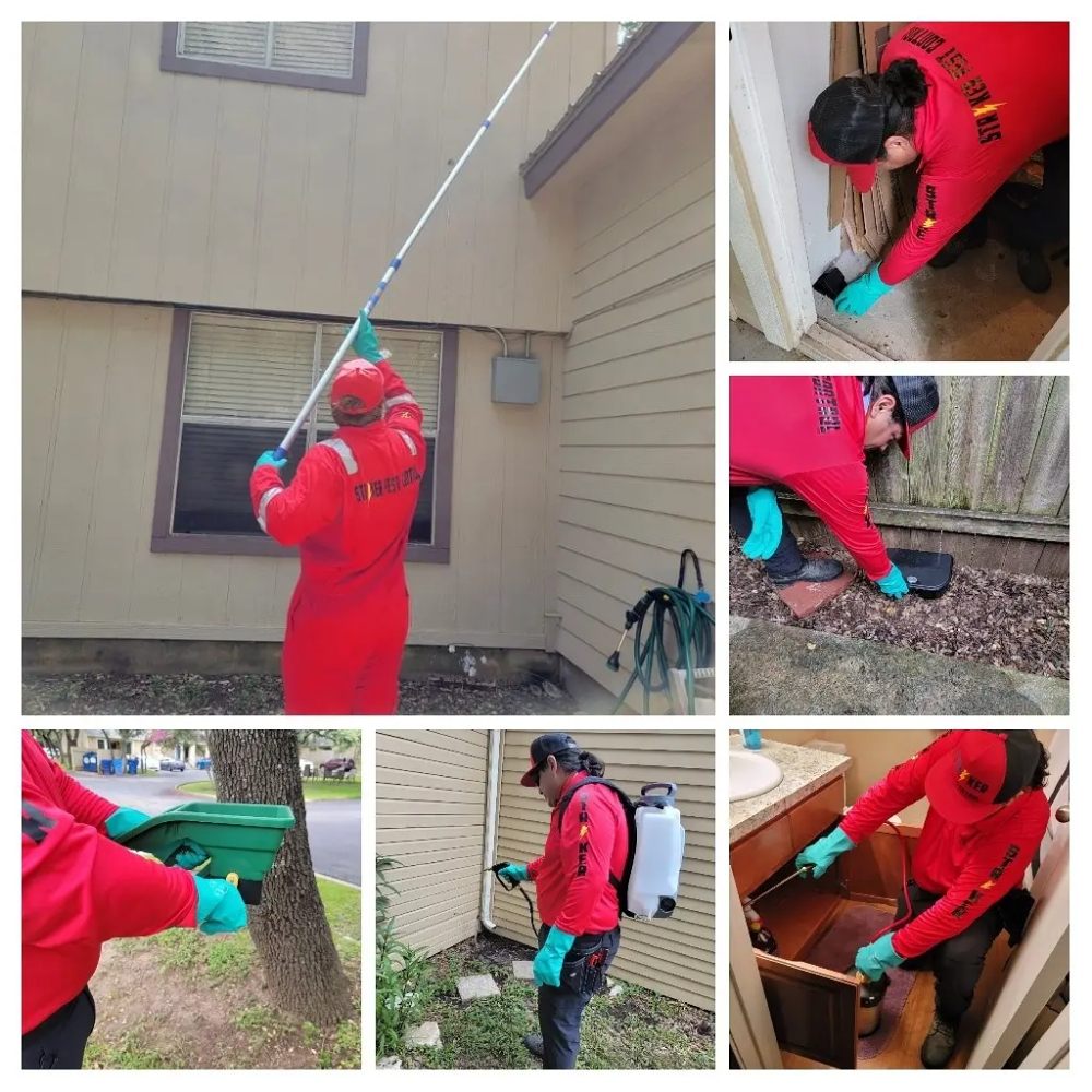 Pest Control: STRIKER PEST CONTROL - Updated October 2024 - Request a ...