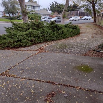 Living Stone Paver Services - Driveway before -- huge crack down the middle. - Landscaping Near Me Living Stone Paver Services - Driveway before -- huge crack down the middle. - Landscaping Near Me