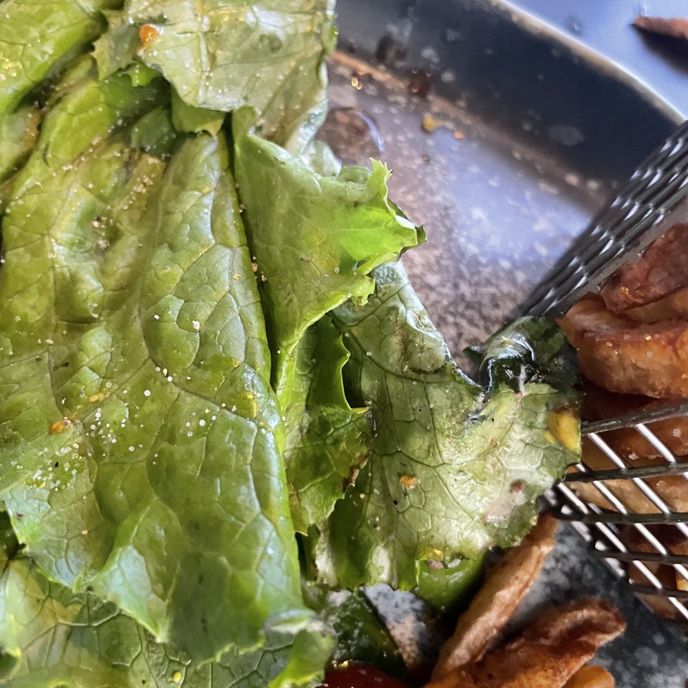 Jimbo's Grill and BBQ - Close up of the disgusting lettuce. - American Near Me - Gainesville, Virginia