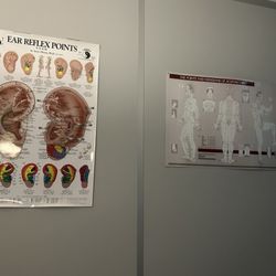 Mint Acupuncture Clinic