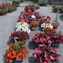 Gambrills Flower Farm
