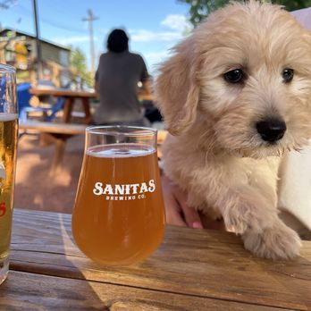 Sanitas Brewing Company - Sour Beer and Sophie - Breweries Near Me - Boulder, Colorado