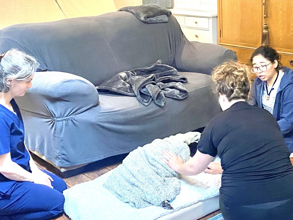 Dr Katie, The Hospice Vet Image