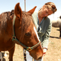 Photo of Mandala Integrative Veterinary Care