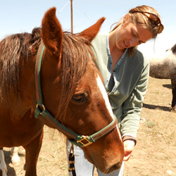 Mandala Integrative Veterinary Care