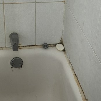 Bridges Sober Living - Black mold everywhere - Rehabilitation Center Near Me - Chicago, Illinois