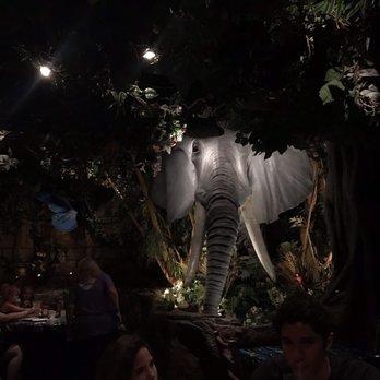 Rainforest Cafe - 3rd floor views - American Near Me - San Antonio, Texas Rainforest Cafe - 3rd floor views - American Near Me - San Antonio, Texas
