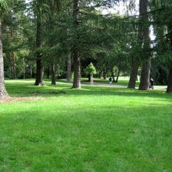 Hundewiese Eppendorfer Park