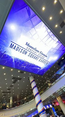 Infosys Theater at Madison Square Garden by null