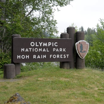 Hoh Rainforest - Hiking Near Me - Forks, Washington Hoh Rainforest - Hiking Near Me - Forks, Washington