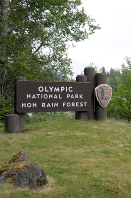 Hoh River Trailhead by null