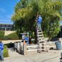 Photo of E & M Tree Service
