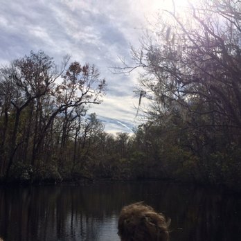 Sea Serpent Tour - Tried to crop out this kids head no luck lol glassy waters and cool air in our faces made for a great day! - Boat Tours Near Me - Saint Augustine, Florida