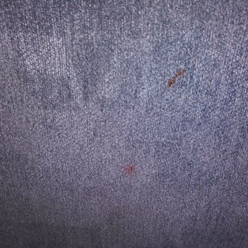 Royal Carpet & Window Cleaning - Ketchup - Window Washing Near Me