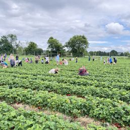 Picking area Picking area