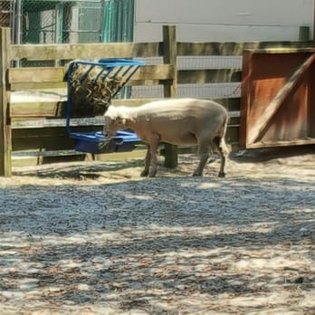 Popcorn Park Zoo - Zoos Near Me - Forked River, New Jersey