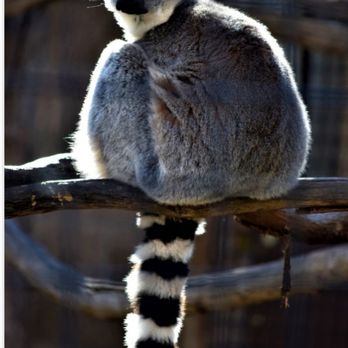 Central Coast Zoo - Zoos Near Me - Atascadero, California Central Coast Zoo - Zoos Near Me - Atascadero, California