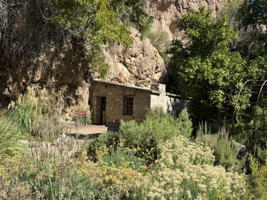 Boyce Thompson Arboretum by null