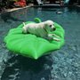 Hollywood Lawn & Pools