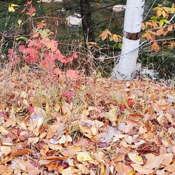 White Mountain National Forest - Parks Near Me