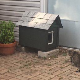Jack donated roofing for feral cats house while they worked on the main project