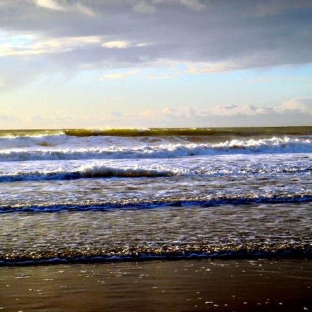 Scott Creek Beach - Beaches Near Me - Davenport, California