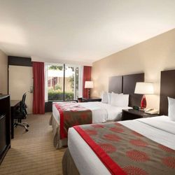 Ramada by Wyndham Naples - Guest room