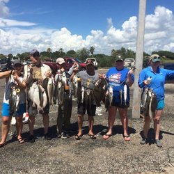 Phlips Trips Guide Service