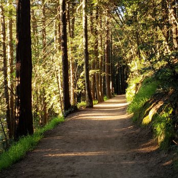 Joaquin Miller Park - Parks Near Me - Oakland, California Joaquin Miller Park - Parks Near Me - Oakland, California