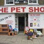 Photo of Pet Shop