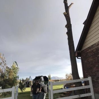 Adrian's Tree and Landscape Services - Tree removal - Tree Services Near Me - West Point, Utah Adrian's Tree and Landscape Services - Tree removal - Tree Services Near Me - West Point, Utah