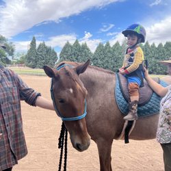 Bosque Therapy Center