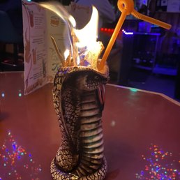 Cobra Cobra