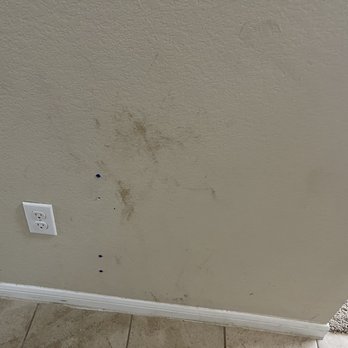 Trustworthy Cleaning Services - Home Cleaning Near Me - Austin, Texas