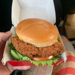 Spicy Deluxe Sandwich