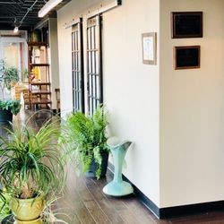 Element Wellness Spa Studio