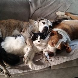 My dog (top) Kelly said wasn't worth my time because he was dog aggressive in her first class. Thankfully I chose his life over her words. My dog (top) Kelly said wasn't worth my time because he was dog aggressive in her first class. Thankfully I chose his life over her words.