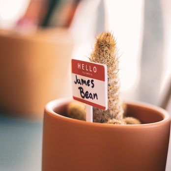 Mañana Venice - James bean! - Coffee & Tea Near Me - Los Angeles, California Mañana Venice - James bean! - Coffee & Tea Near Me - Los Angeles, California