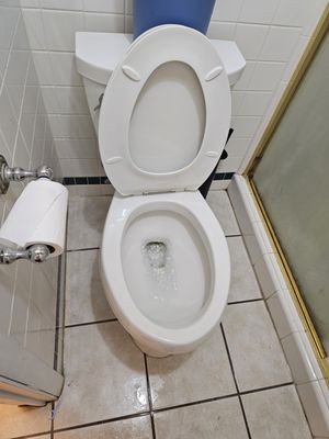 Jackie Of All Trades